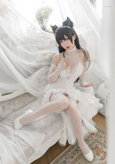 金科长