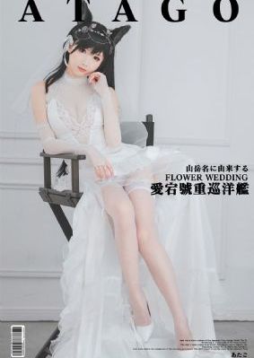 无贼电视剧全集48集免费播放